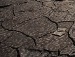Сергій Качараба фотография #15 (источник - https://vk.com/id71214073)