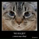 Фотография Чермных Юлии