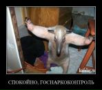 Anton Semin фотография #25 (источник - https://vk.com/id3362771)