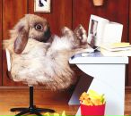 Фотография Харисовой Гульназ