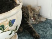 Фотография Мельниковой Иры