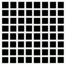 Андрій Стефанишин фотография #50 (источник - https://vk.com/id73525698)