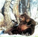 Фотография Поляковой Натальи