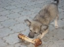 Вовчик Кузьміч фотография #35 (источник - https://vk.com/id64250712)