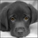 Діана Береза фотография #33 (источник - https://vk.com/id157656163)