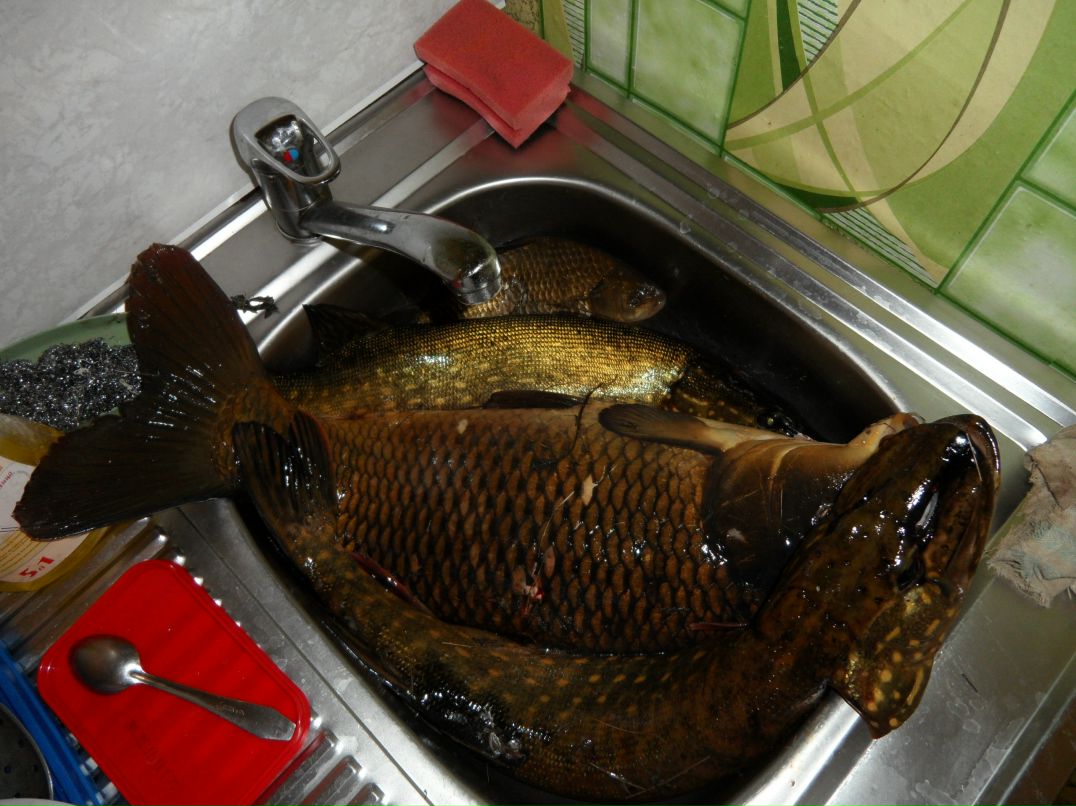 Валерий Наход фотография #22