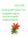 Hafiz Irgalı фотография #6 (источник - https://vk.com/id67040057)