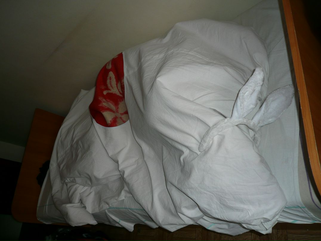 Дмитрий Рогов фотография #15