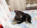 Діма Штурма фотография #42 (источник - https://vk.com/id55220686)