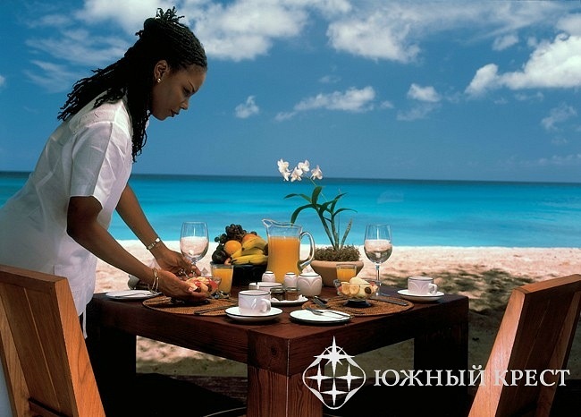 Викки Дементьева фотография #33