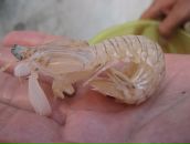 Ігор Стечак фотография #49 (источник - https://vk.com/id10974319)