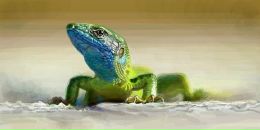 Міша Карасьов фотография #50 (источник - https://vk.com/id40385448)