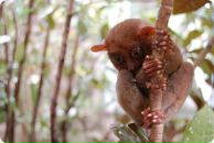 Данил Смирнов фотография #47 (источник - https://vk.com/id532575)