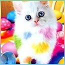 Фотография Абики Камини