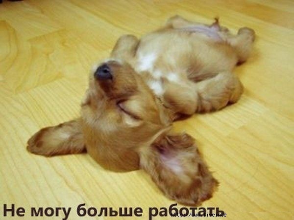 №6, Александр Галицкий №6, Александр Галицкий