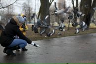 Фотография  