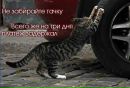 Фотография Денис Томашов