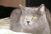 Фотография Лобовой Дарьи