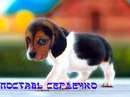Лєра Байда фотография #25 (источник - https://vk.com/id169444076)