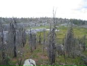 Иван Паньков фотография #23 (источник - https://vk.com/id746503)