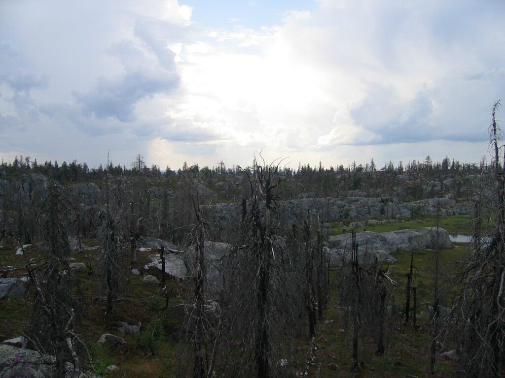 Иван Паньков фотография #22