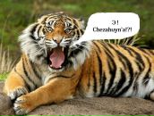 Фотография Белогорского Александра