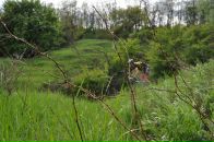 Андрій Ключник фотография #36 (источник - https://vk.com/id3632440)