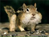 Ігор Півак фотография #14 (источник - https://vk.com/id46743879)