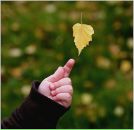 Антоніна Суран фотография #34 (источник - https://vk.com/id92225882)