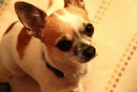 Фотография Федуловой Виктории