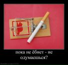 Igorko Sema фотография #19 (источник - https://vk.com/id20006038)