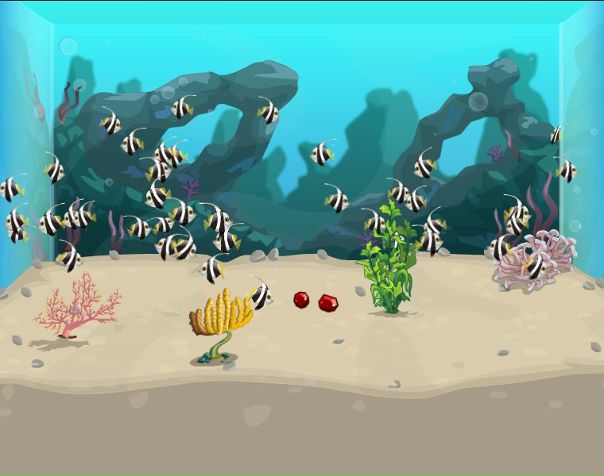 Аба Аба фото №4