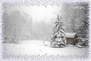 Кірочка Мельнічук фотография #39 (источник - https://vk.com/id152060484)