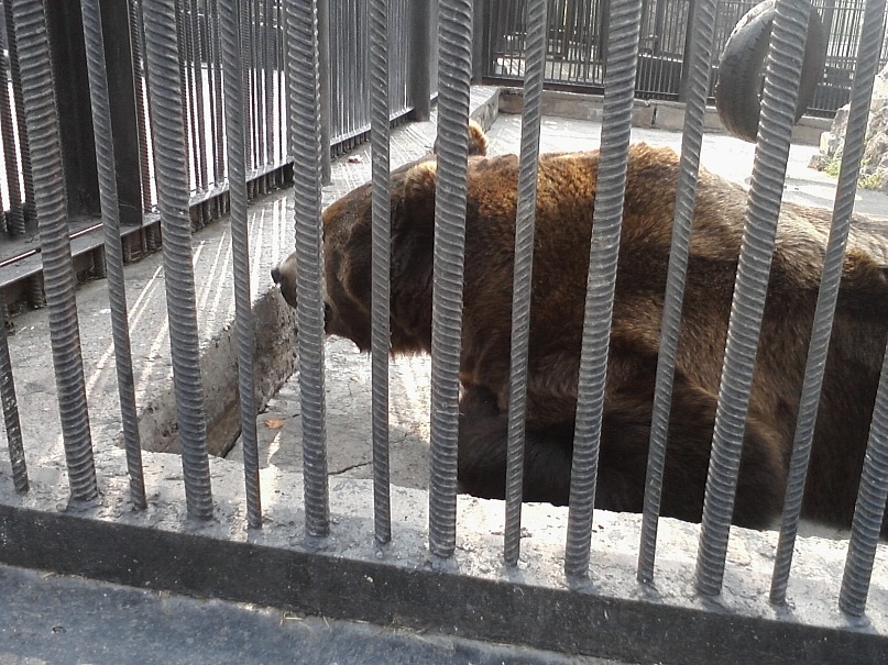 Дмитрий Иост фотография #50