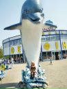 Катя Косік фотография #14 (источник - https://vk.com/id160174989)