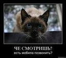 Іван Бондар фотография #28 (источник - https://vk.com/id133429326)