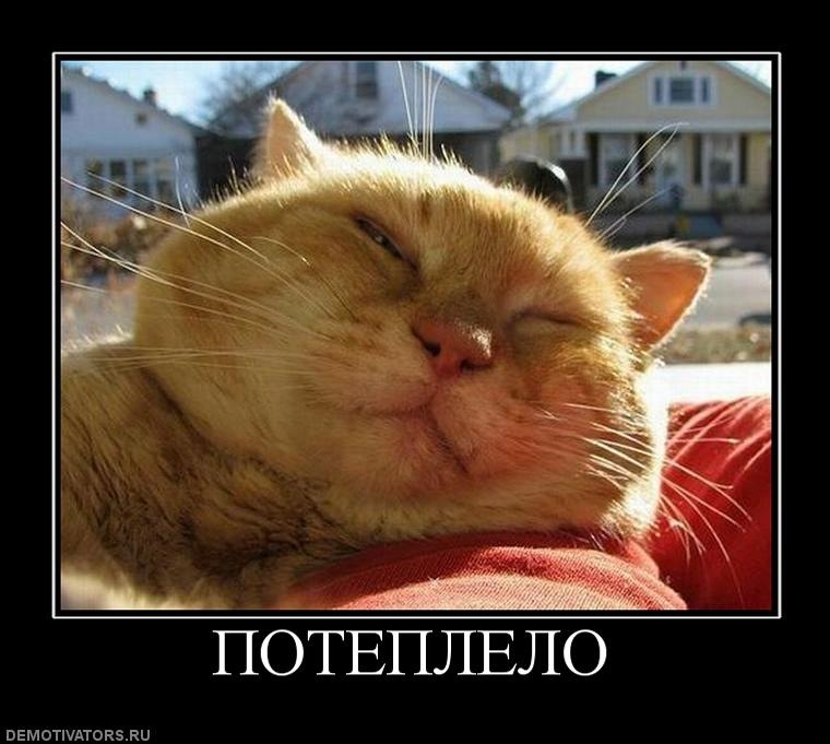 Maria Ullberg фотография #44