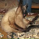 Фотография Владимировича Олега