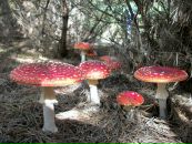 Сергій Гурінчук фотография #41 (источник - https://vk.com/id12433093)