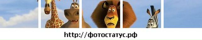 Віталік Ткачук фотография #9 (источник - https://vk.com/id77372732)