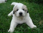 Фотография Хрулёвой Виктории