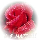 Фотография Тамышевой-Зайцевой Натальи