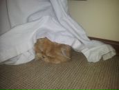 Дмитрий Иванов фотография #43 (источник - https://vk.com/id1759368)