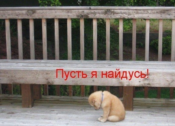 №17, Альбина Муллахметова, Нефтекамск №17, Альбина Муллахметова, Нефтекамск